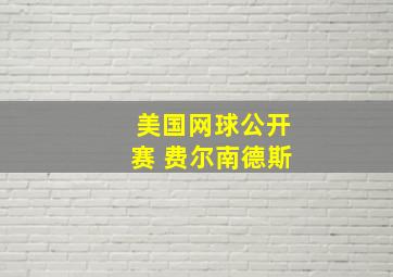 美国网球公开赛 费尔南德斯